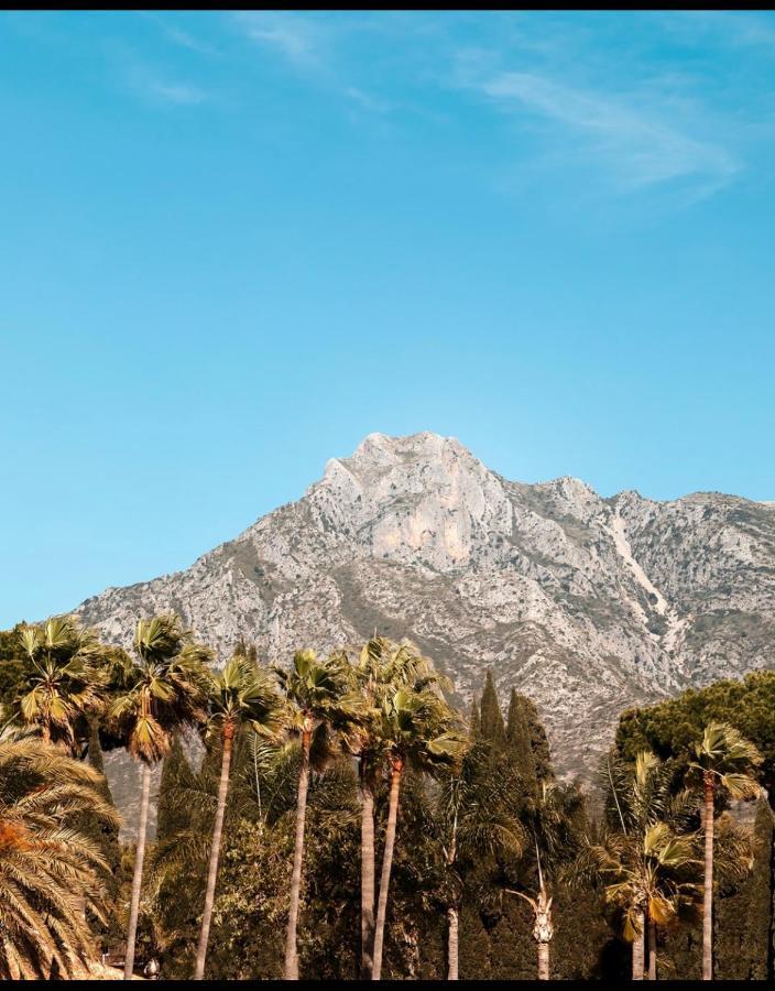 Apartamento Plaza De Los Naranjos Marbella Kültér fotó